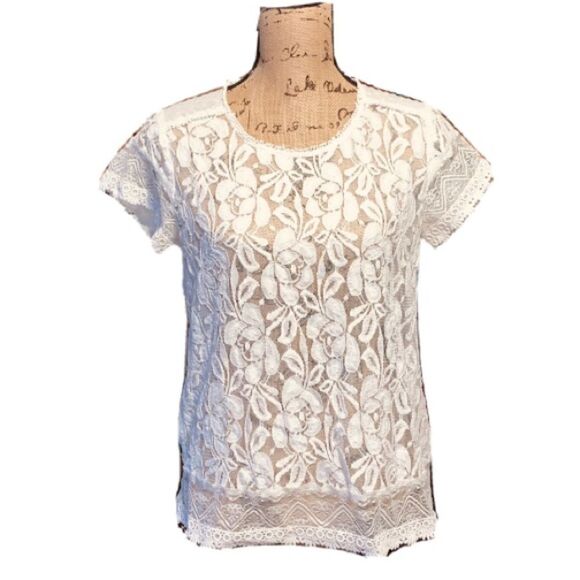 The Limited lace top size S - Picture 1 of 3